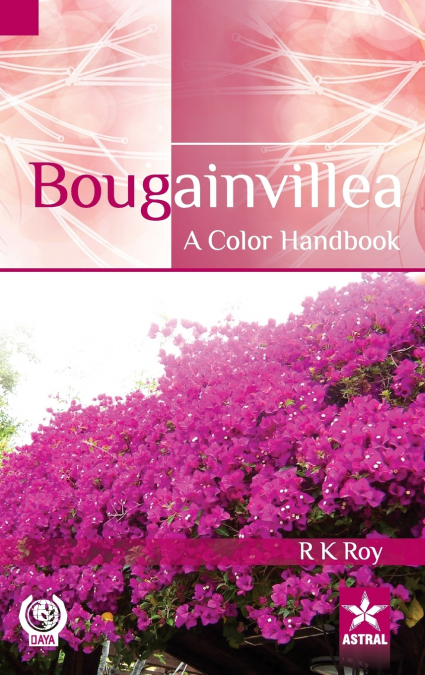 Bougainvillea