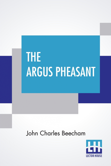 The Argus Pheasant