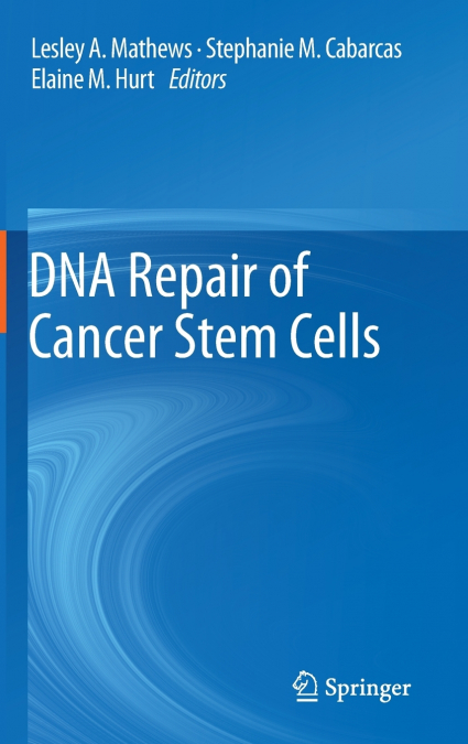 DNA Repair of Cancer Stem Cells