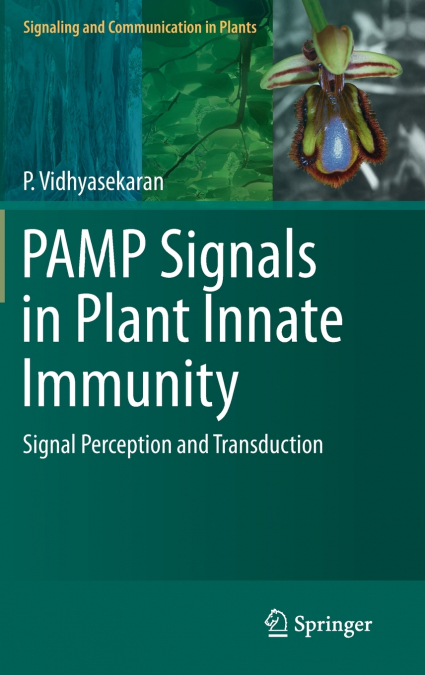 PAMP Signals in Plant Innate Immunity