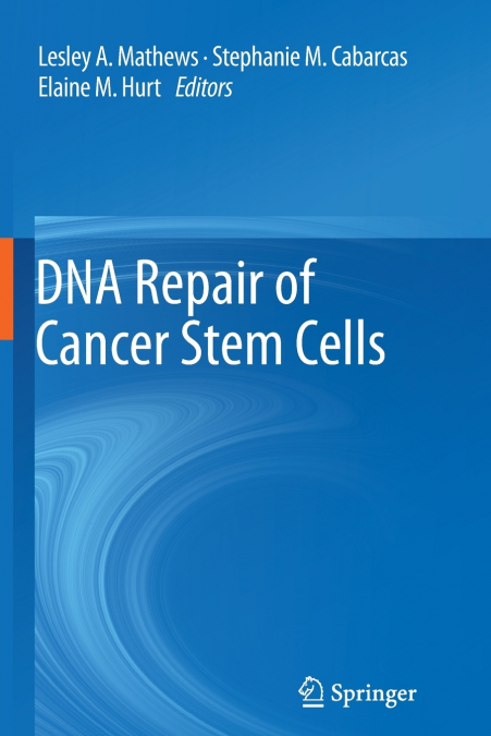 DNA Repair of Cancer Stem Cells