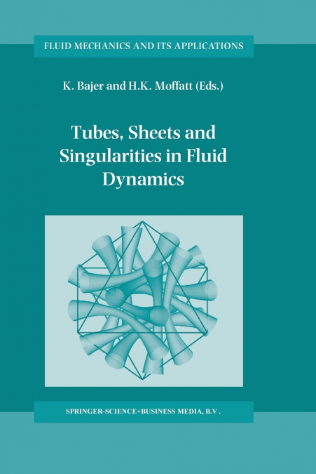 Tubes, Sheets and Singularities in Fluid Dynamics