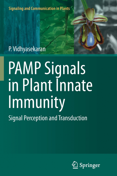 PAMP Signals in Plant Innate Immunity