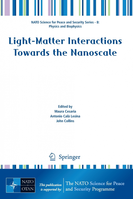 Light-Matter Interactions Towards the Nanoscale
