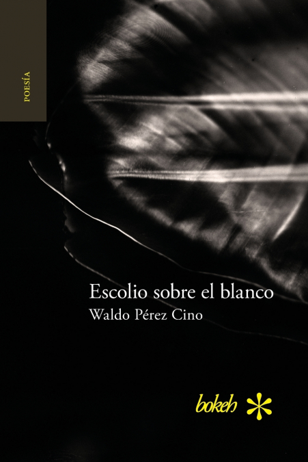 Escolio sobre el blanco