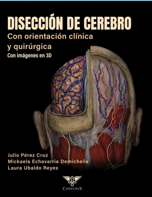 Disección de cerebro con orientación clínica y quirúrgica