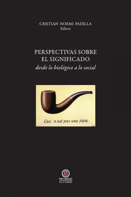 Perspectivas sobre el significado