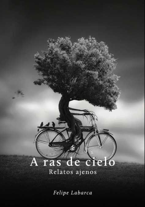 A ras de cielo