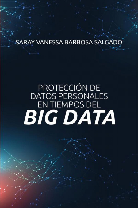 Protección de datos personales en tiempos del big data