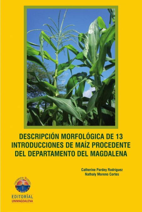 Descripción morfológica de 13 introducciones de maíz procedentes del Departamento del Magdalena