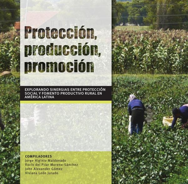 Protección, producción, promoción