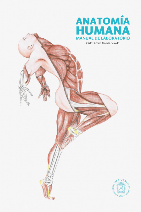 Anatomía humana. Manual de laboratorio