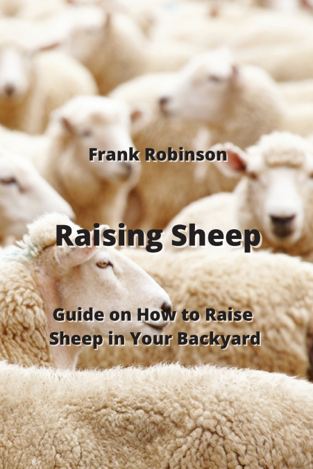 Raising Sheep