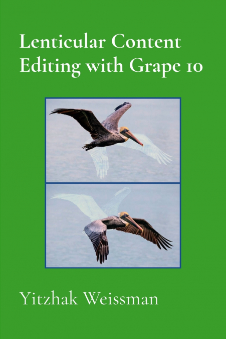 Lenticular Content Editing with Grape 10