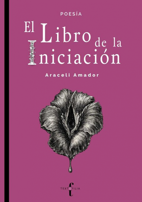 El libro de la iniciación