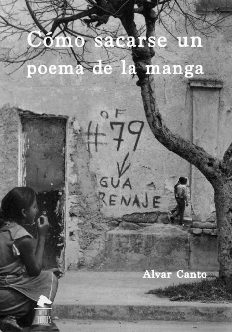 Cómo sacarse un poema de la manga