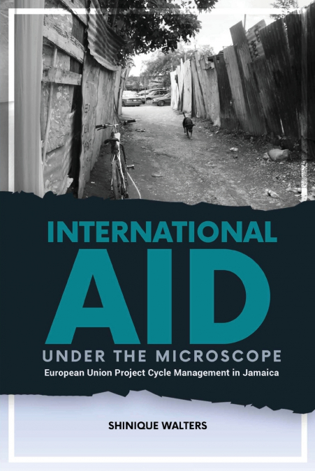 International Aid under the Microscope
