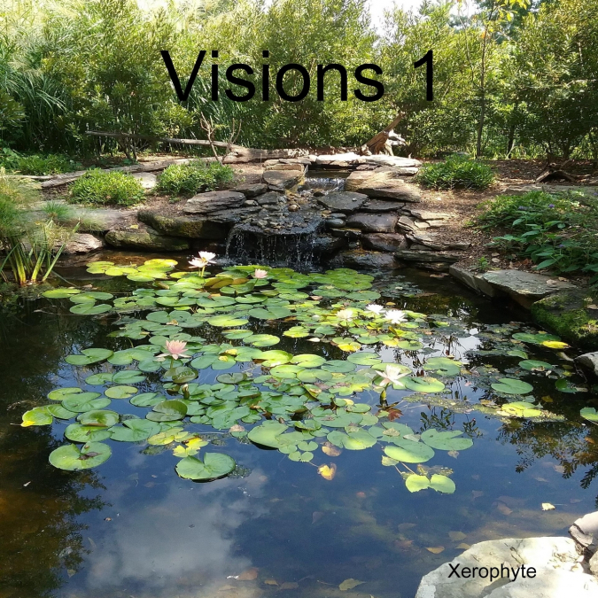 Visions 1