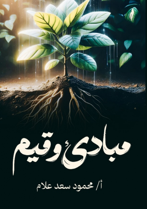 مبادئ وقيم