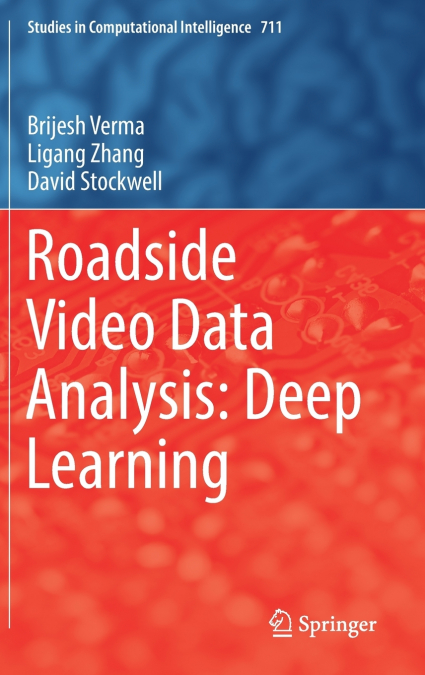Roadside Video Data Analysis