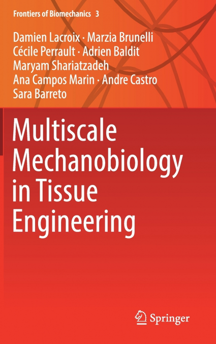 Multiscale Mechanobiology in Tissue Engineering