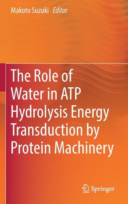 The Role of Water in ATP Hydrolysis Energy Transduction by Protein Machinery