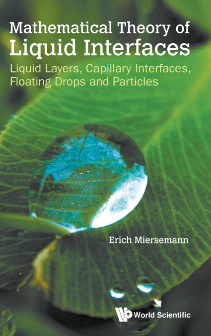 Mathematical Theory of Liquid Interfaces