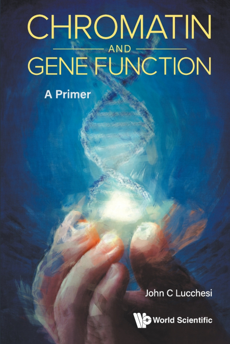 Chromatin and Gene Function