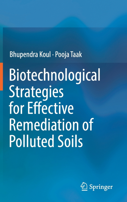 Biotechnological Strategies for Effective Remediation of Polluted Soils