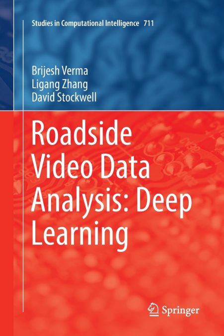 Roadside Video Data Analysis