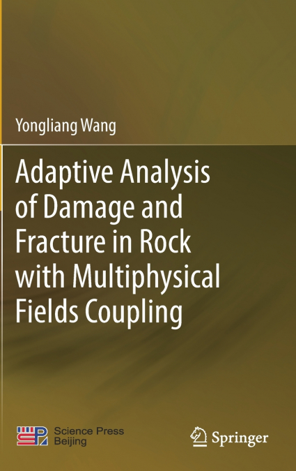 Adaptive Analysis of Damage and Fracture in Rock with Multiphysical Fields Coupling