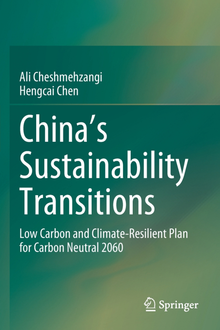 China’s Sustainability Transitions