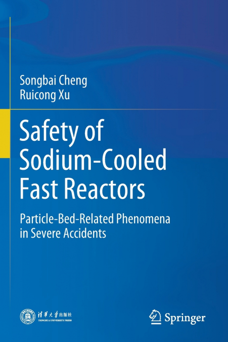 Safety of Sodium-Cooled Fast Reactors