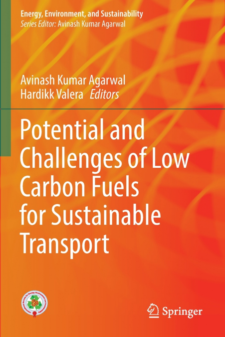 Potential and Challenges of Low Carbon Fuels for Sustainable Transport