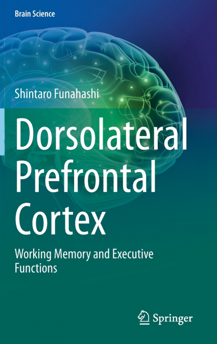 Dorsolateral Prefrontal Cortex