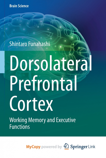 Dorsolateral Prefrontal Cortex