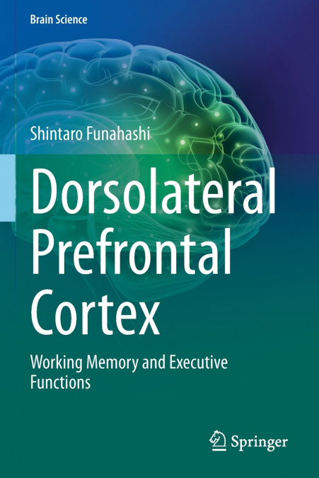 Dorsolateral Prefrontal Cortex