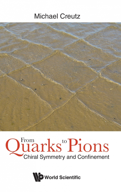 FROM QUARKS TO PIONS