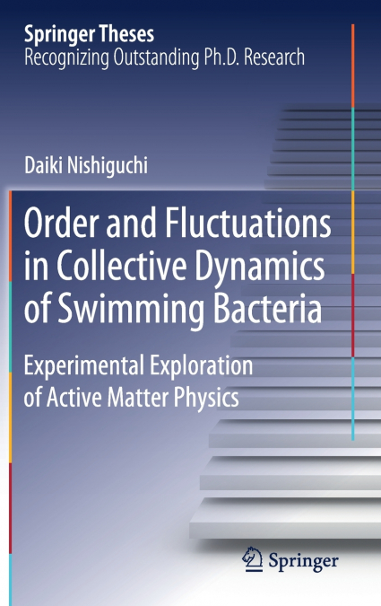 Order and Fluctuations in Collective Dynamics of Swimming Bacteria