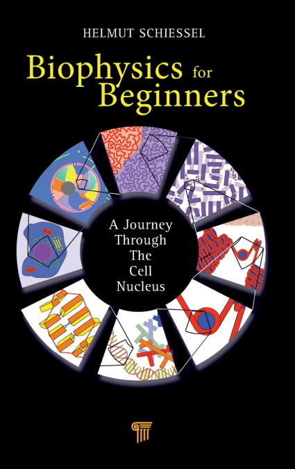 Biophysics for Beginners