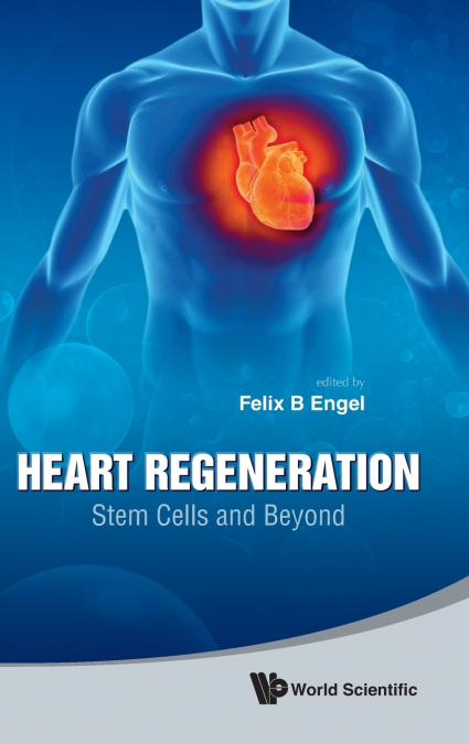 Heart Regeneration