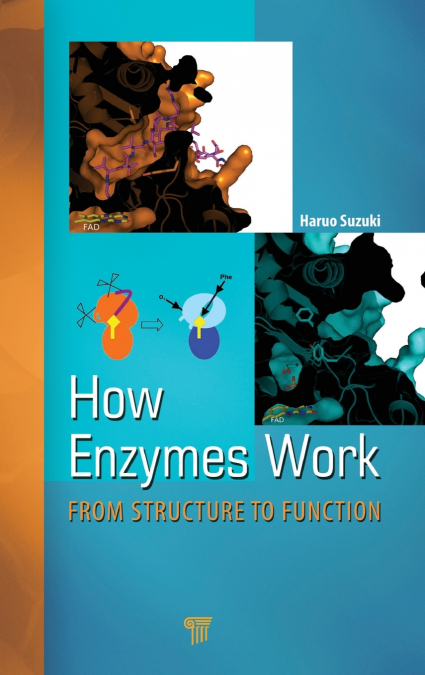 How Enzymes Work