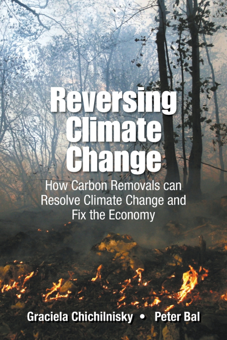 Reversing Climate Change