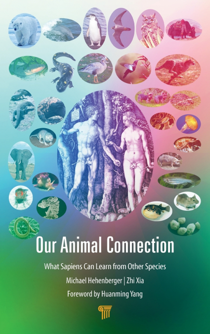 Our Animal Connection