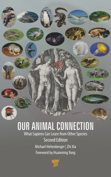 Our Animal Connection