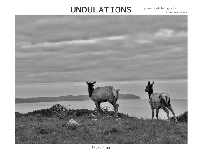 Undulations