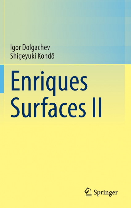 Enriques Surfaces II