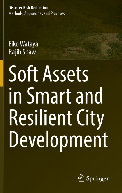 Soft Assets in Smart and Resilient City Development
