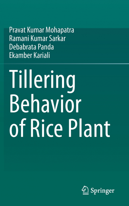 Tillering Behavior of Rice Plant