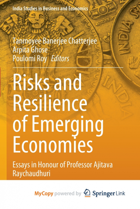 Risks and Resilience of Emerging Economies